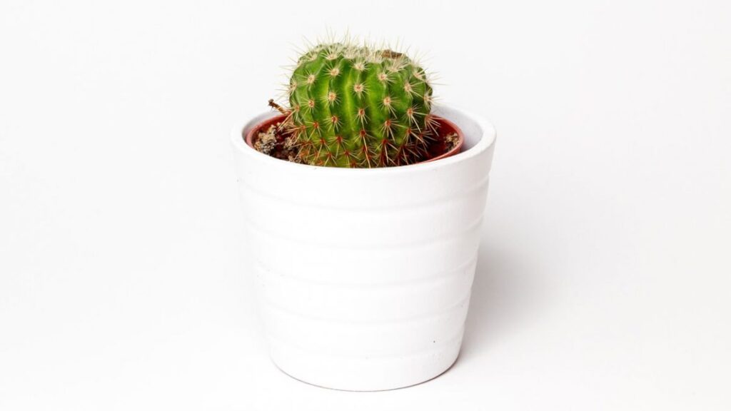 This Is How Minimal Will Look Like